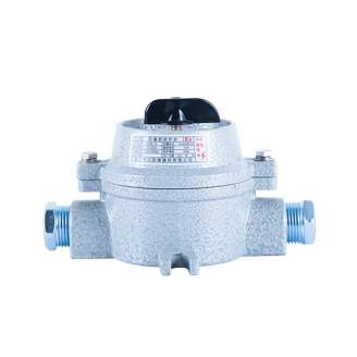 SWB-10 防爆照明開關(guān)( II B)