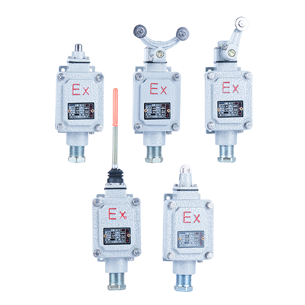 BLX5 防爆行程開關(guān)( II B）