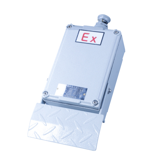 BJT 防爆腳踏開關(guān)( ⅡB)